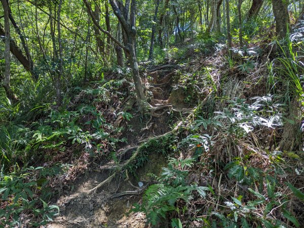 大溝溪生態治水園區。龍船岩。大崙頭山(小百岳)。圓覺瀑布1750687