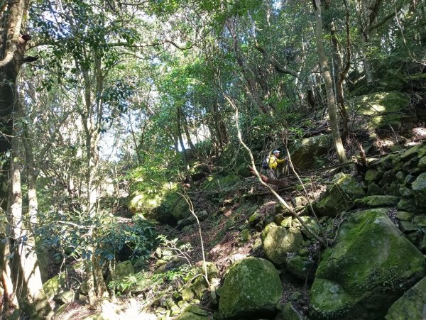 南庄加里山林業遺跡忘雨巖2026050