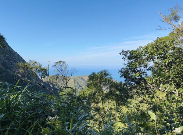 楓港紫竹林龍峰寺起登 里龍山(小百岳#80)來回2964825