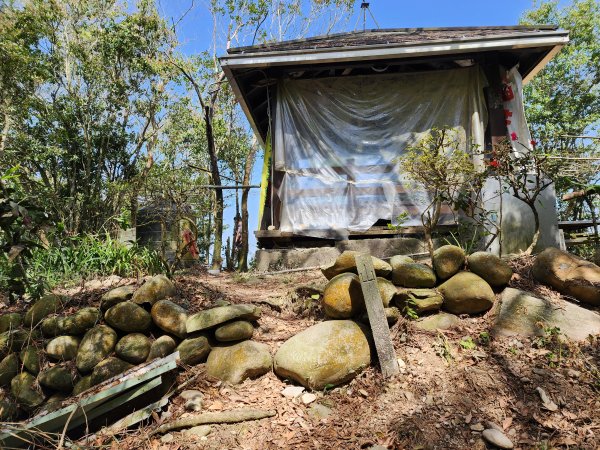 20230416大坑步道2~5+石苓湖山2175642