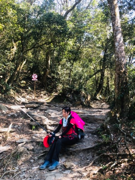 2019/03/02 北大武541999