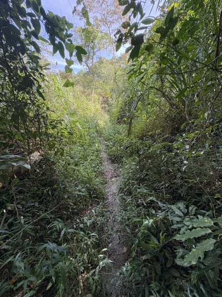 20251011台南刣牛湖山登山步道2915051