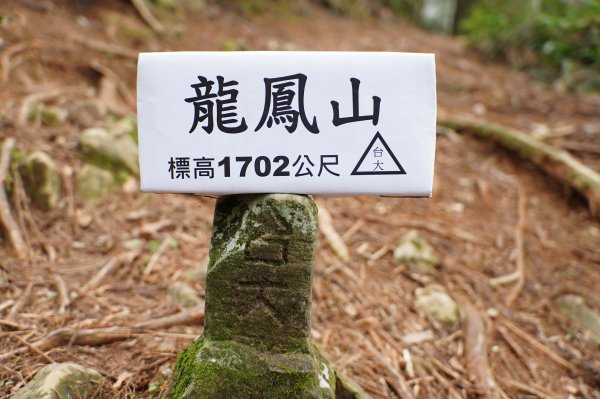 南投 鹿谷 龍鳳山、龍鳳峽山、三叉崙山、水桶寮山、內樹皮山、羊頭崙山、志騰山、竹崙山、溪頭山2962320