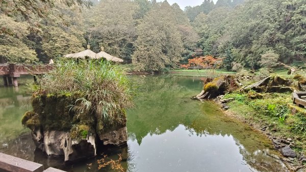 神阿縱走~台灣難抵極~大塔山2971515