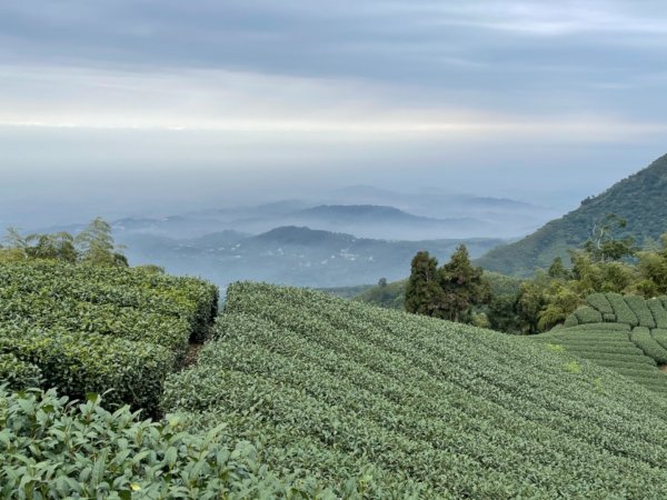 雲嘉三連峰（太平山、梨子腳山、馬鞍山）1593176