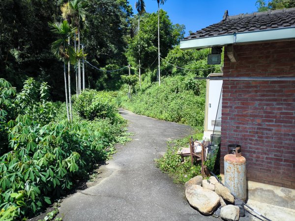 2024-08-22 澀水森林步道2578464