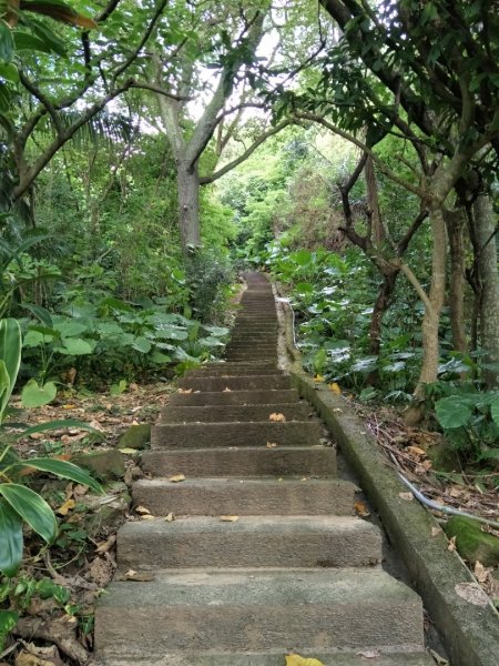 圓山水神社步道1764851