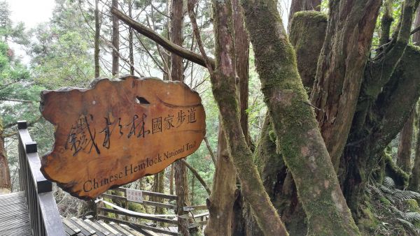 太平山國家森林遊樂區374725