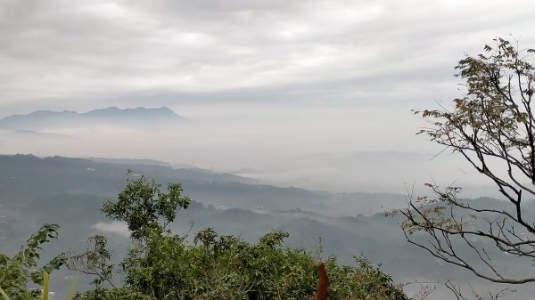 阿拔泉山稜線步道雲海1561742