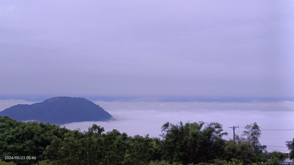 陽明山再見雲海&雲瀑5/23 #五色鳥育雛2510706