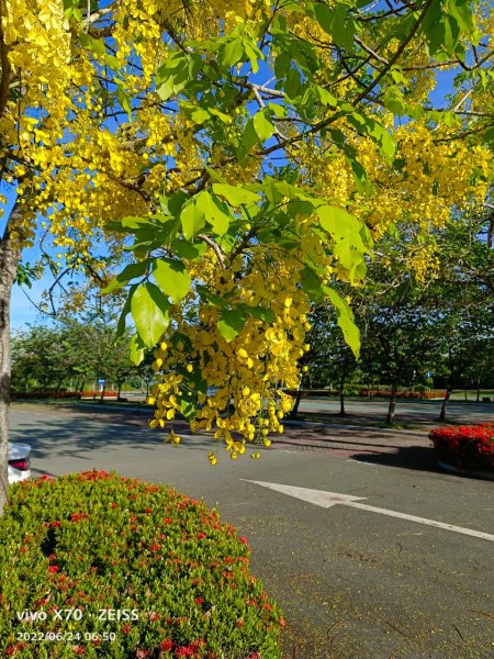 20220625台東海端向陽山、向陽山北峰、三叉山、嘉明湖1745462
