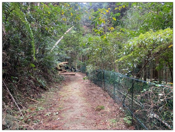 赫威山、多崖山、北插天山 連走2957270