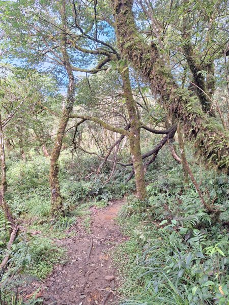 礁溪烘爐地山202509282900325