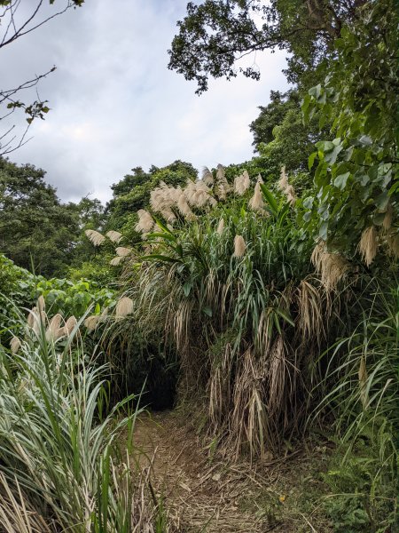 麟光至萬隆 南港山列 福州山 中埔山 芳蘭山1663783