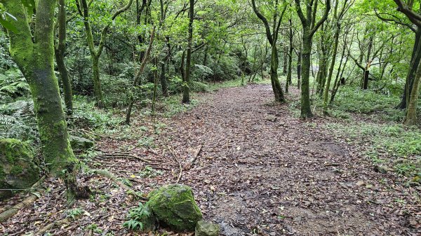 楊廷理古道2814581