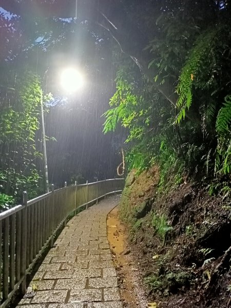 大湖公園《雨中夜行》1904683