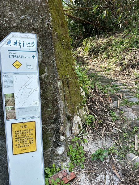 樟之細路三坑到關西3015336