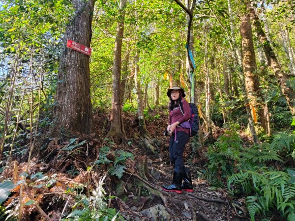 高島縱走202502152713754