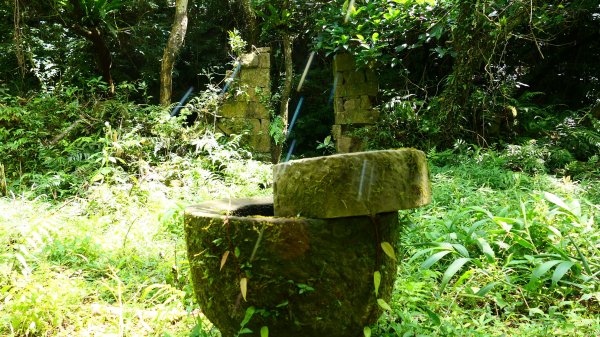 大湖尾,溪尾寮,藤寮坑古道2877525