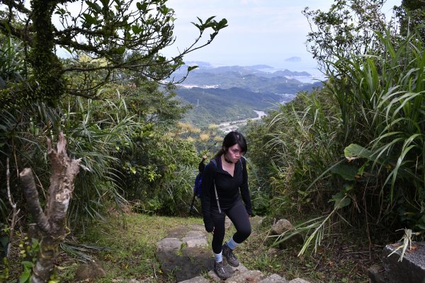 相看兩無緣：金字碑。牡丹山。貂山古道1433926