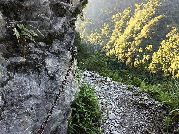 [玉山尋寶任務-07/12] 2025_0824 八通關雲龍瀑布步道2870501