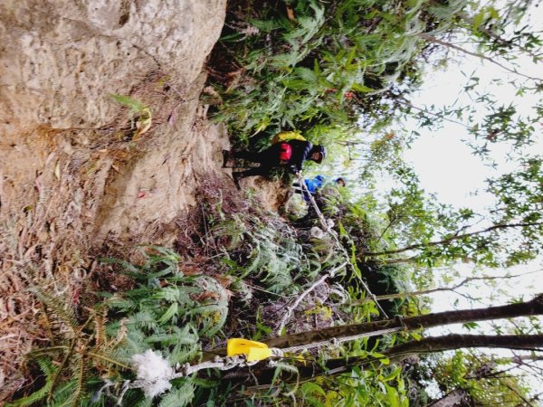 大砲岩-石壇山-八頭山-湯守岩-丹鳳山-202412222859780