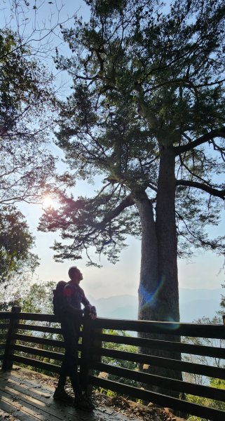 谷關踏青尋吃享溫泉(馬崙山 山江客家料理 露泉渡假溫泉館)2057387