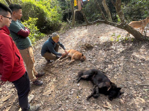 苗栗金童山、玉女山、汶水山2672886
