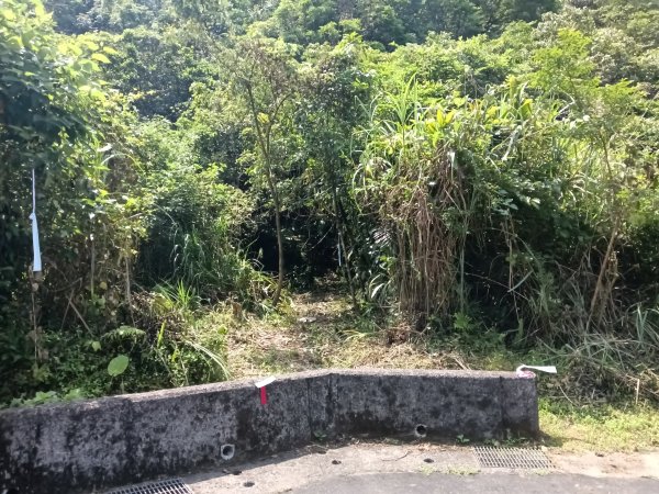 雙溪區柑腳城威惠廟+柑腳城山(下坑山)去回2796647