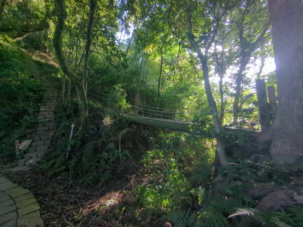 2025.11.15－鳴鳳古道2942998