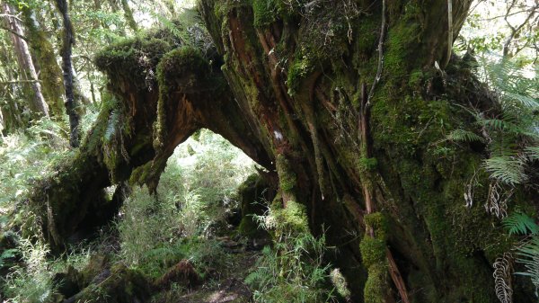 三星池登山健行趣1789857