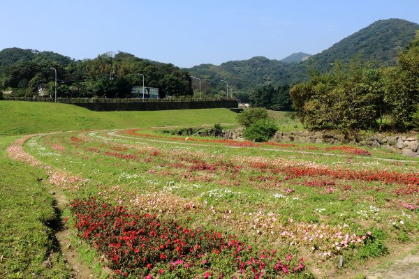 忠勇山。鯉魚山535911