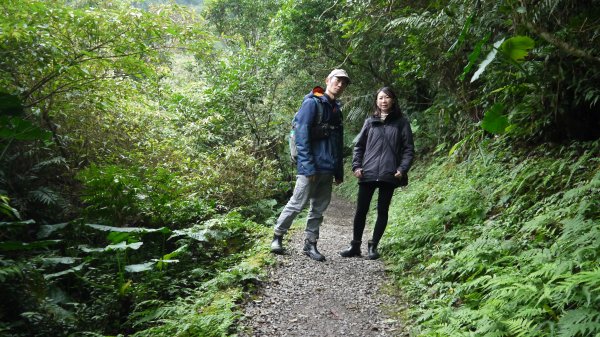 銀河洞越嶺步道登山健行趣（步道）1541198