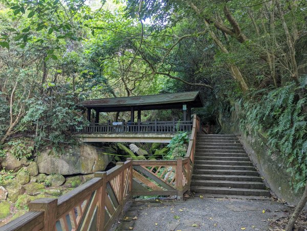 大溝溪蝴蝶花海。圓覺三尖之二「鯉魚山、忠勇山」1576511