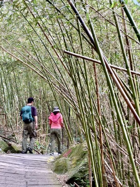 二尖.大尖山悠遊--好友再聚的茶園餘韻   2026.01.182985477