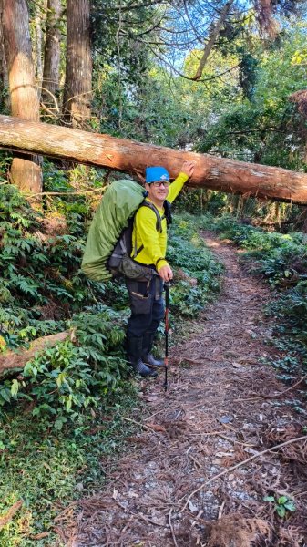 干卓萬群峰五天1141001~052906182