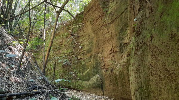 《彰化》原始峽谷｜八卦山一線天步道202502282723537