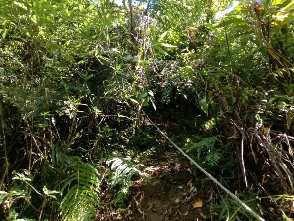 平溪區灰窯山驚險岩稜+司公碗帽山O型2897928