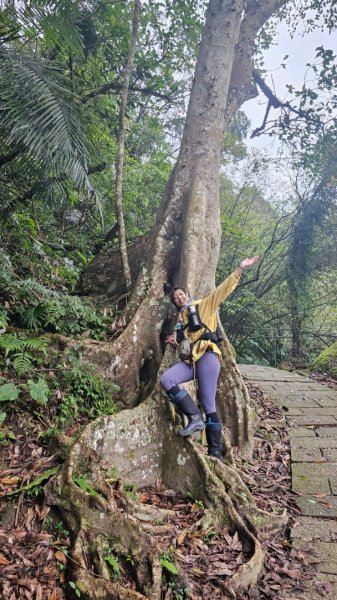 淡蘭南路2+1逆走2671833