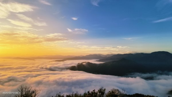 #翡翠水庫 #琉璃光 #日出 #雲海  #藍腹鷴 3/132734686