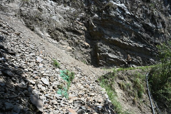東埔上郡大出郡大西南稜_龍貓公車