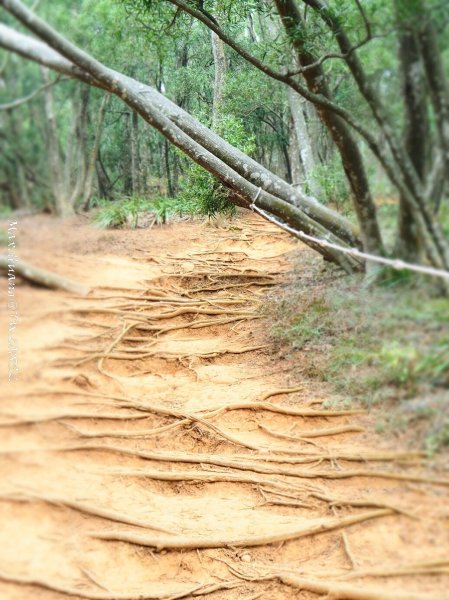 《苗栗》心靈之旅｜火炎山步道O繞南鞍古道201804212890662