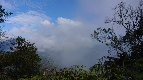 苗栗泰安上島山1136234