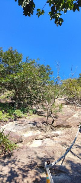 內湖金面山22690007