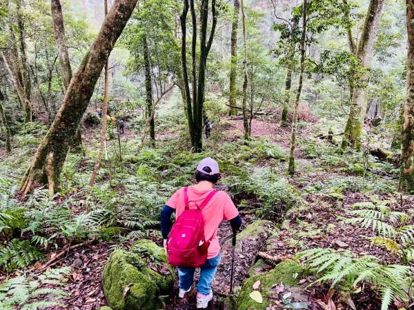 🌈8/2(六）鵝公髻山（小百岳）+北埔冷泉消暑+北埔老街美食✨FB：熊熊趴爬走🌈2852270