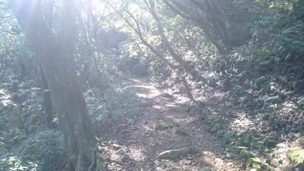 上磺溪停車場-冷水大山-大尖後山-頂中股山-八煙步道-水圳路O形81946