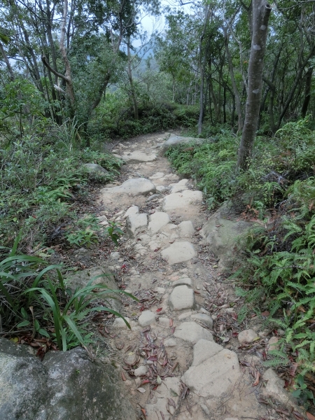 軍艦岩．丹鳳山步道91917
