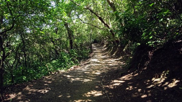 串珠步道,二砂灣砲台,大砂灣西東砲台,綠丘砲台,基隆塔2257506