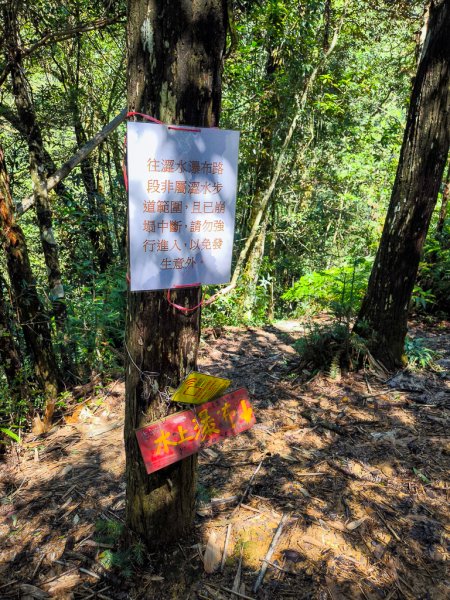 2024-08-22 澀水森林步道2578457