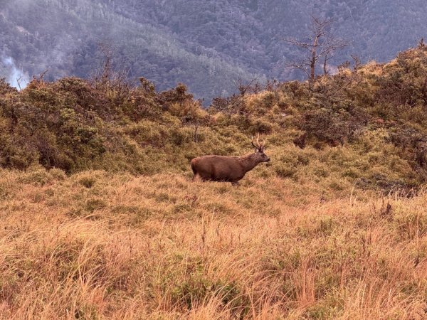 南一段20250101~052684983